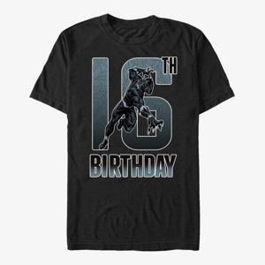Queens Marvel Avengers Classic - Black Panther 16th Bday Unisex T-Shirt Black