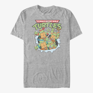 Queens Nickelodeon Teenage Mutant Ninja Turtles - Classic Turtle Group Unisex T-Shirt Heather Grey