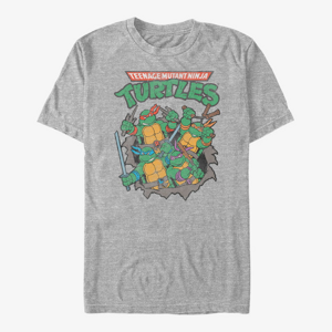 Queens Nickelodeon Teenage Mutant Ninja Turtles - Turtle Group Unisex T-Shirt Heather Grey