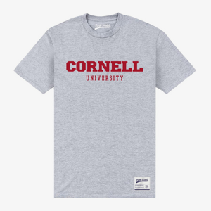 Queens Park Agencies - Cornell University Script Unisex T-Shirt Sport Grey