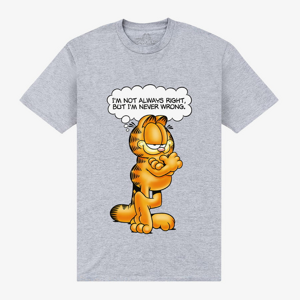 Queens Park Agencies - Garfield Never Wrong Unisex T-Shirt Sport Grey