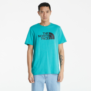 Pánske tričko The North Face M S/S Easy Tee zelené / čierne